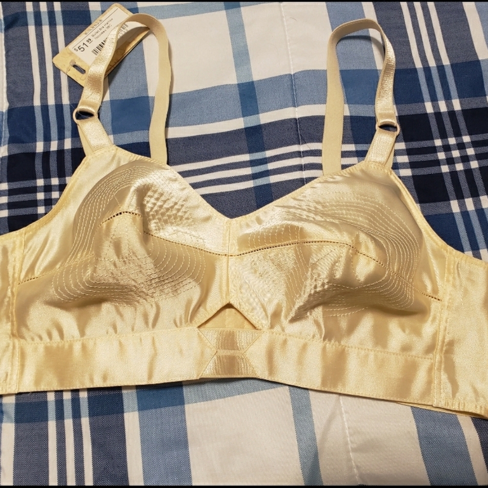 What Katie Did Harlow Bra